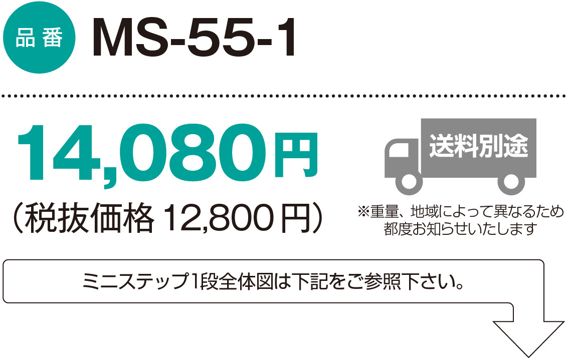 MS-55-1：14,080円（税抜価格12,800円）
