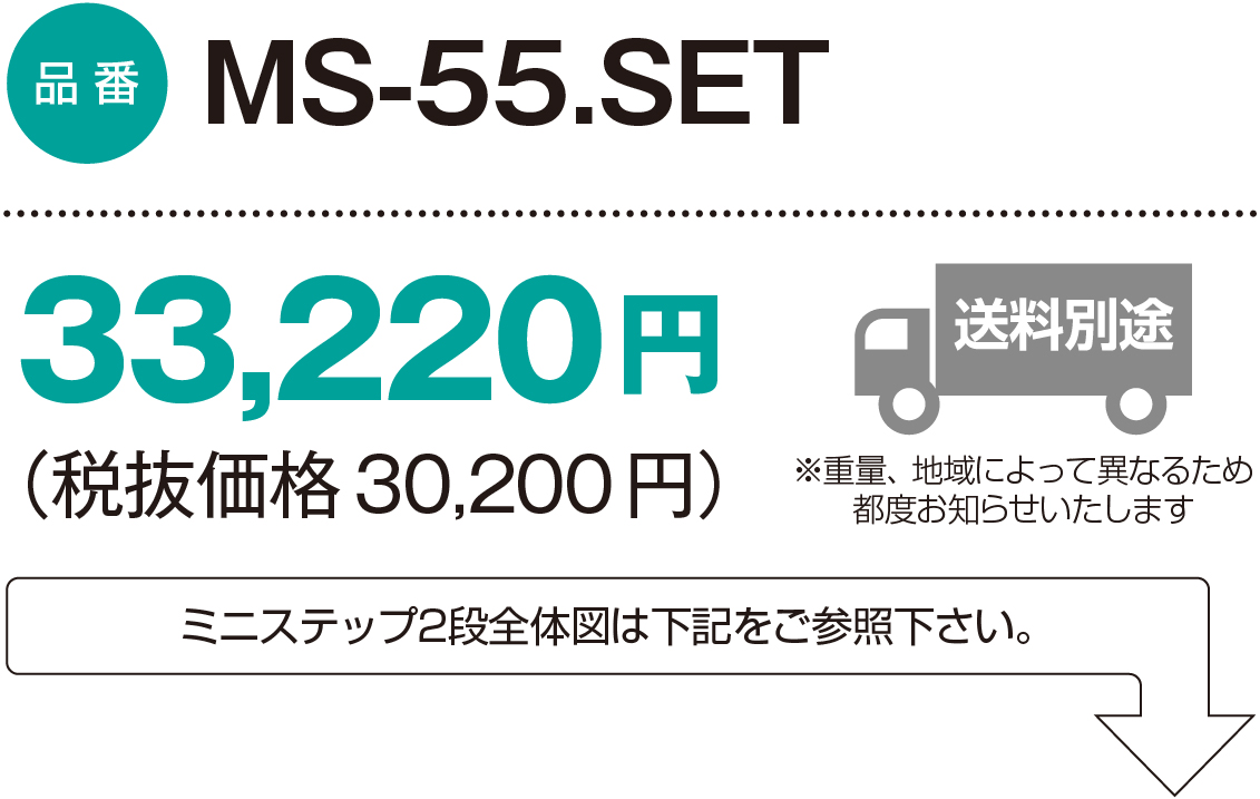 MS-55.SET：33,220円（税抜価格30,200円）